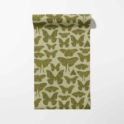 Butterflies